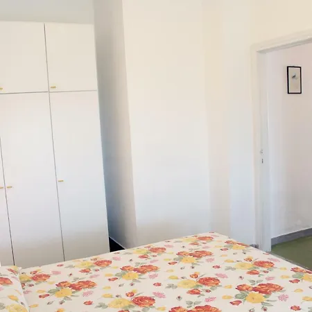 Cedro * 카폴리베리