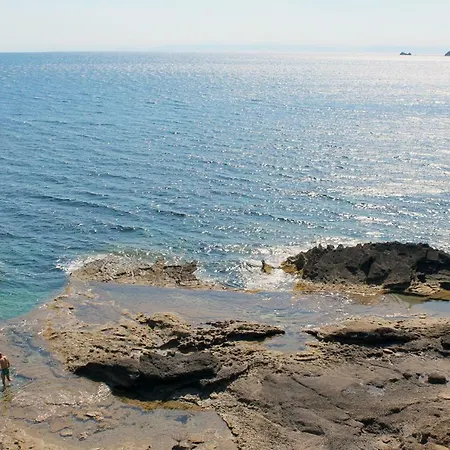 Cedro 카폴리베리