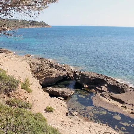 Cedro Capoliveri (Isola d'Elba)