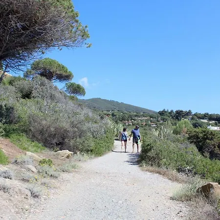 Cedro * كابوليفيري