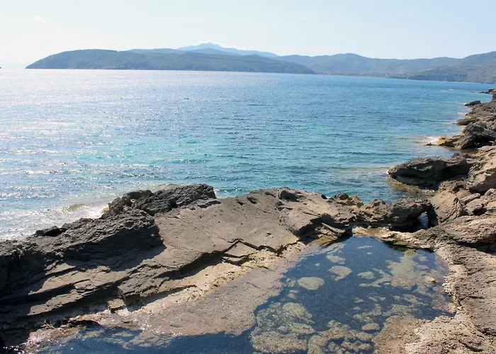 Cedro * Capoliveri (Isola d'Elba)