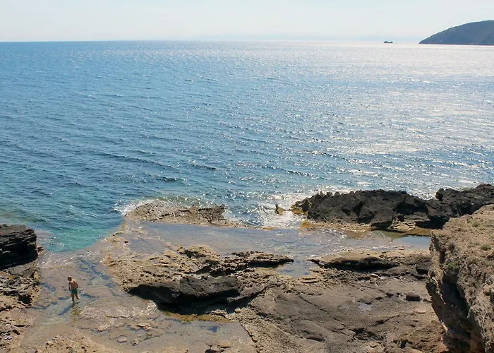 Cedro Capoliveri (Isola d'Elba)